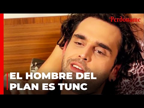 Los Planes De Tunc Funcionaron Bien - Perdóname
