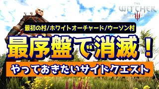 ウィッチャー３攻略【序盤初心者】最初の村で絶対やるべきサイドクエスト