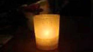 Save -  Meryn Cadell