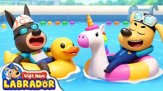 🥽 Nhiệm vụ cứu hộ tại bể bơi | Hoạt hình thiếu nhi 👮 Cảnh sát trưởng Labrador Vietnam 🚔