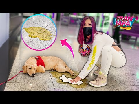 PRIMEIRA VEZ DA HELENA NO SHOPPING ( DESASTRE ) ! - Fran Japa