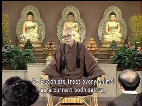 Is an animal's spiritual capacity the same as Buddha-nature (GDD-662) DVD