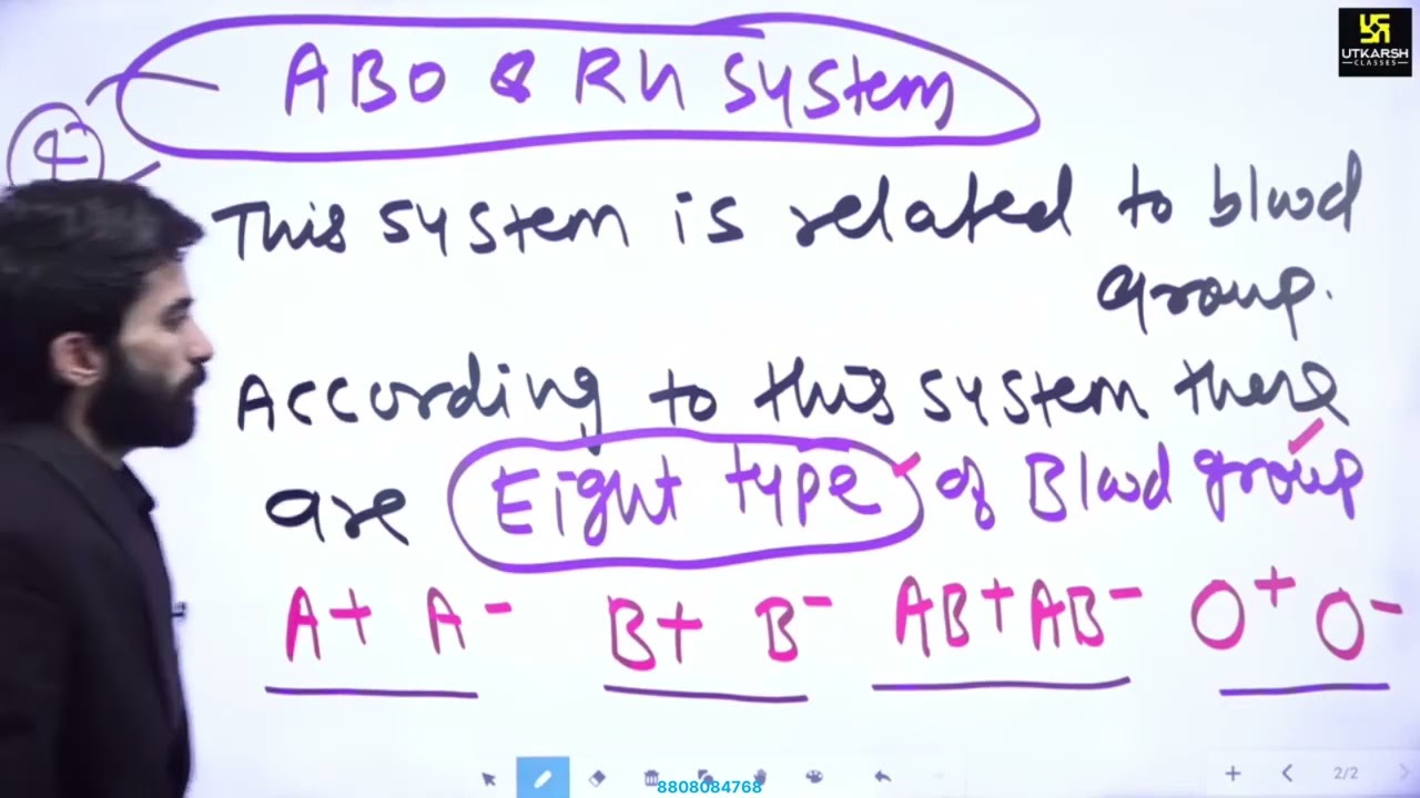 2.3 Blood and Blood Cells/msn