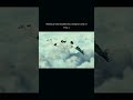 This Melts My Heart Animations Viral Anime Loveless Emotional Animeedits