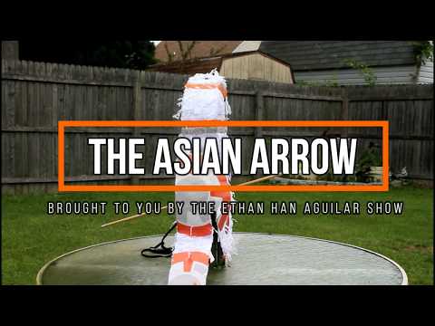 THE ASIAN ARROW