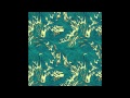 Trey Anastasio Band - Frost - Album Traveler