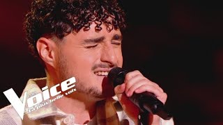 Daniel Balavoine - La vie ne m'apprend rien - Ethan | The Voice 2024 | Audition à l'aveugle