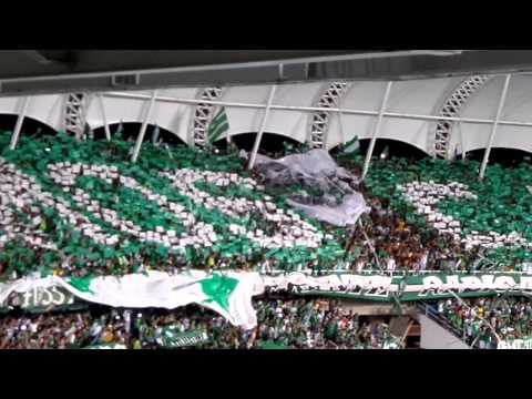 "Deportivo Cali (0) vs Nacional (0) (final 2013) - Salida a la cancha." Barra: Frente Radical Verdiblanco &bull; Club: Deportivo Cali