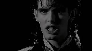 Charlie Sexton / Impressed😊1985