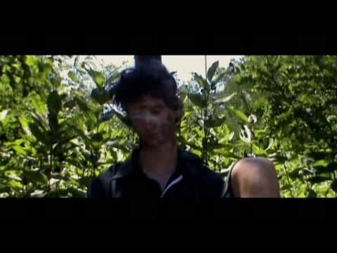 New-Free Fall-Trailer