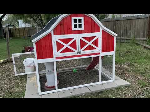 Omaha Chicken Coop Hacks and Final Review