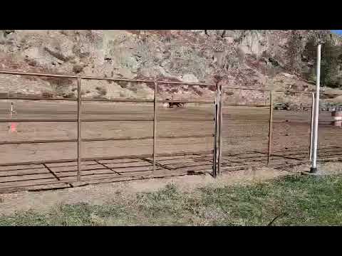 Ralston's Arena video thumbnail