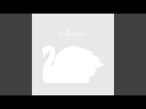 Video thumbnail for Swans