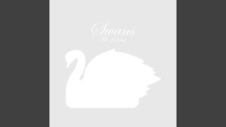Swans