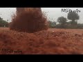 Cricket WhatsApp Status