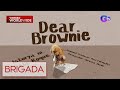 Amo ng inabandonang aso na si Brownie, ekslusibong nakapanayan ng Brigada! | Brigada