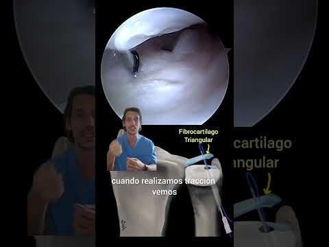 Derlis Sotelo García-4