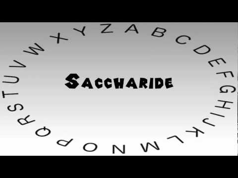 How to Say or Pronounce Saccharide