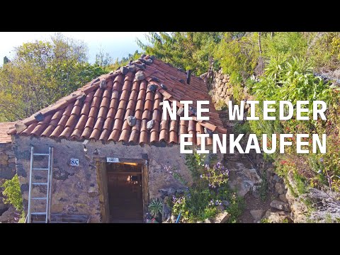 Living as a self-sufficient family in the Canary Islands - Johanna and Martin bring an old finca ...
