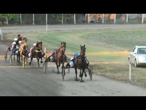 Srbobran-29.10.2023, Iago d'Amore & D. Katanić