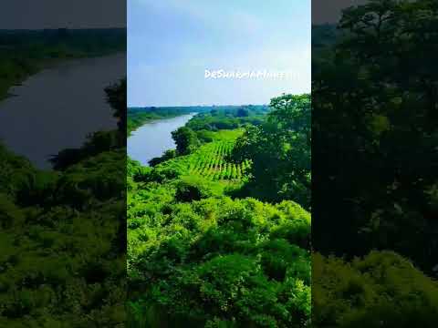Green #DrSharmaMahesh #green#unique#travel #solo #big#railway#india#beautiful #hashtag#water#village