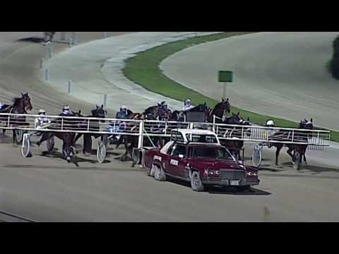 Aversa trotto 8 Febbraio 2020 - 7° Corsa