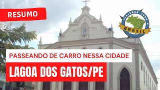 preview picture of video 'Viajando Todo o Brasil - Lagoa dos Gatos/PE'