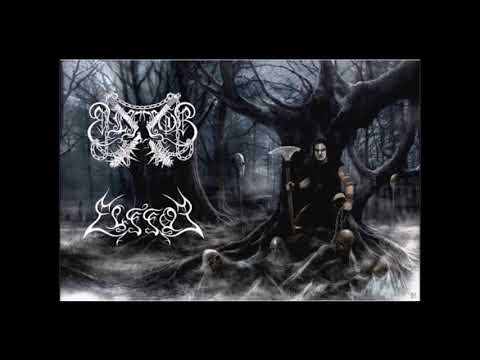 Elffor - Into The Dark Forest - Elffor Unblessed Wood |Two Full Albums|