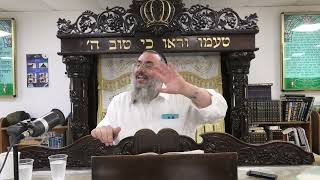 הרב דניאל אלול - פרשת בהעלותך חלק א' - התשפ"ה (ישיבת שעלבים) - התמונה מוצגת ישירות מתוך אתר האינטרנט יוטיוב. זכויות היוצרים בתמונה שייכות ליוצרה. קישור קרדיט למקור התוכן נמצא בתוך דף הסרטון הרב דניאל אלול - פרשת בהעלותך חלק א' - התשפ"ה (ישיבת שעלבים) - התמונה מוצגת ישירות מתוך אתר האינטרנט יוטיוב. זכויות היוצרים בתמונה שייכות ליוצרה. קישור קרדיט למקור התוכן נמצא בתוך דף הסרטון