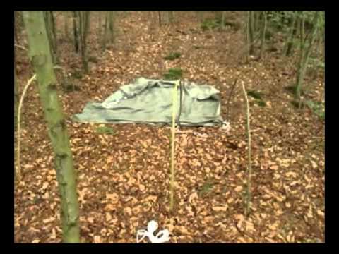 Gebogene Dackelgarage