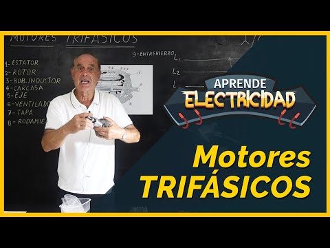 ⚡Motores Trifásicos: Partes y Características