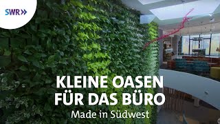 Pflanzenwände fürs Klima - Firma art aqua begrünt Büros | SWR Made in Südwest