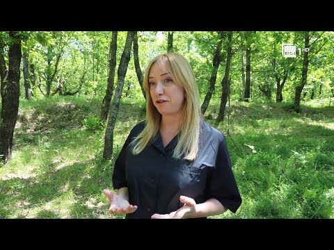 Mbrojtje biologjike e gështenjës, Krifca: Metodë e certifikuar nga BE, ruan cilësinë e produktit