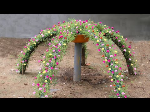 Amazing ideas for Making Flower Pot Recycling plastic Bottles into flower Pot