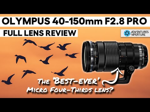 Video thumbnail for Video Review 3