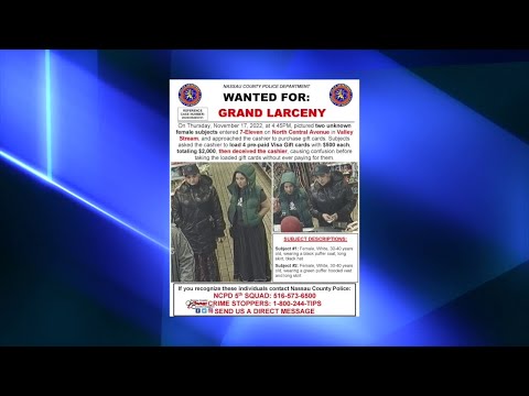 NY Long Island Nassau County Police Seeking Two Grand Larceny Suspects