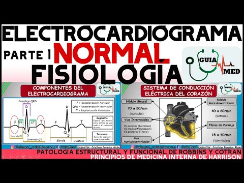 NORMAL GUYTON ELECTROCARDIOGRAM | GuiaMed