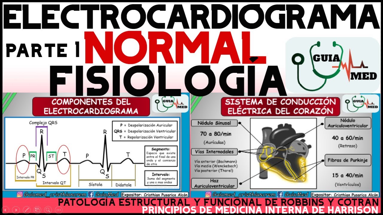ELECTROCARDIOGRAMA NORMAL GUYTON | GuiaMed