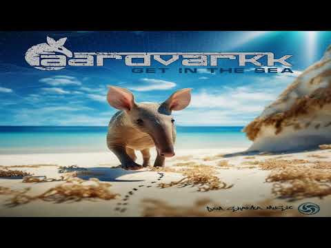 Aardvarkk - get in the sea (original mix)