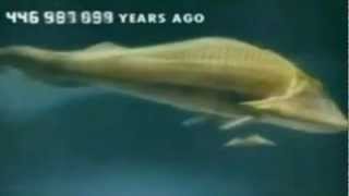 400 million years of evolution , Fat boy slim &quot;Right here Right now&quot;