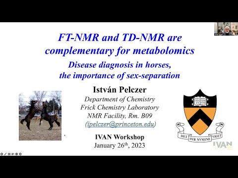 FT and TD-NMR are Complementary for Metabolomics