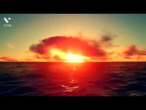 nature's video with relaxing music 🎵🎶🎵🎵