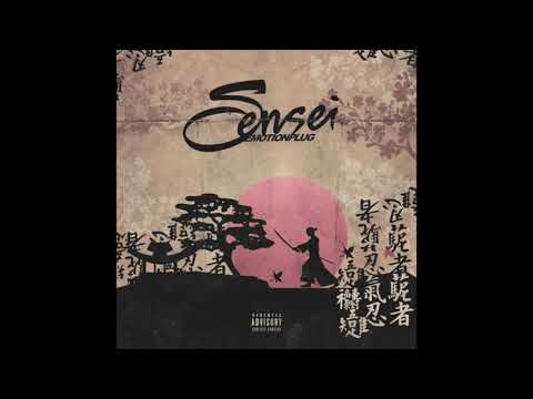 EMOTIONPLUG - SENSEI