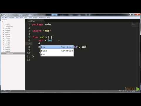 Building Your First Application with Go Tutorial Processing Errors | packtpub com