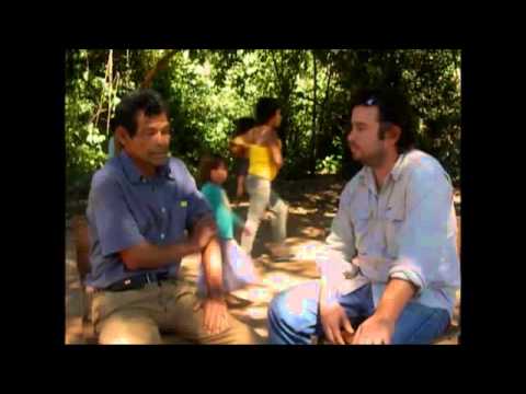 GUYRA RETA-TEKOHA GUASU