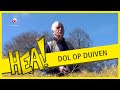 HEA! Dol op duiven