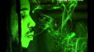 Stephen Marley - No Cigarette Smoking [Chopped and Screwed] feat Melanie Fiona