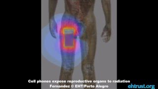 Cell phones expose reproductive organs to radiation