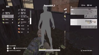 PS4 PUBG