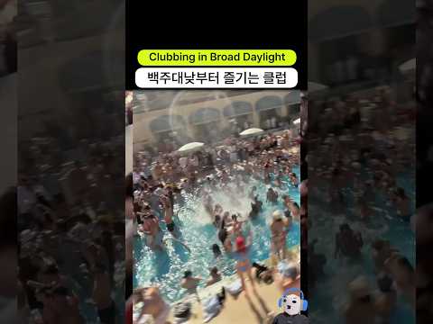 백주대낮부터 즐기는 라스베가스 클럽 근황